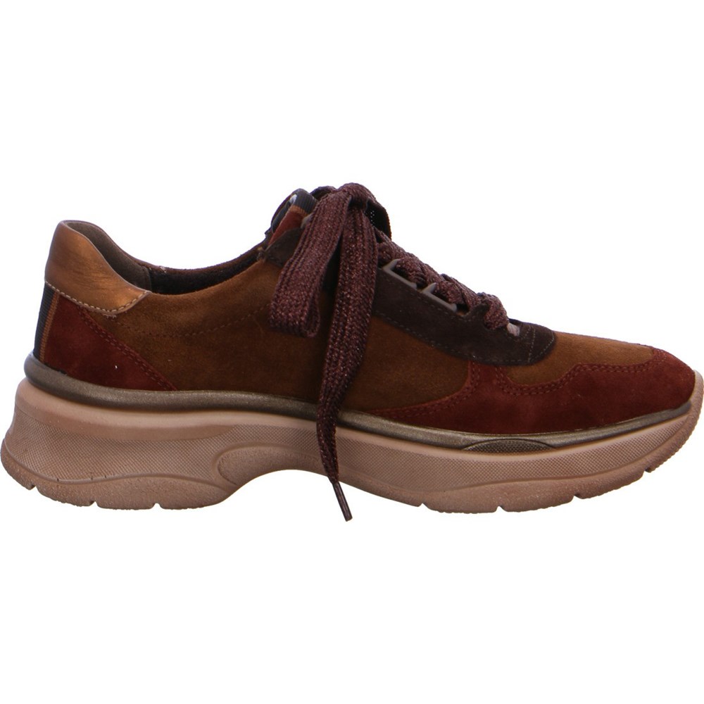 Baskets ARA Roma Marron Femme | KDE-52638029