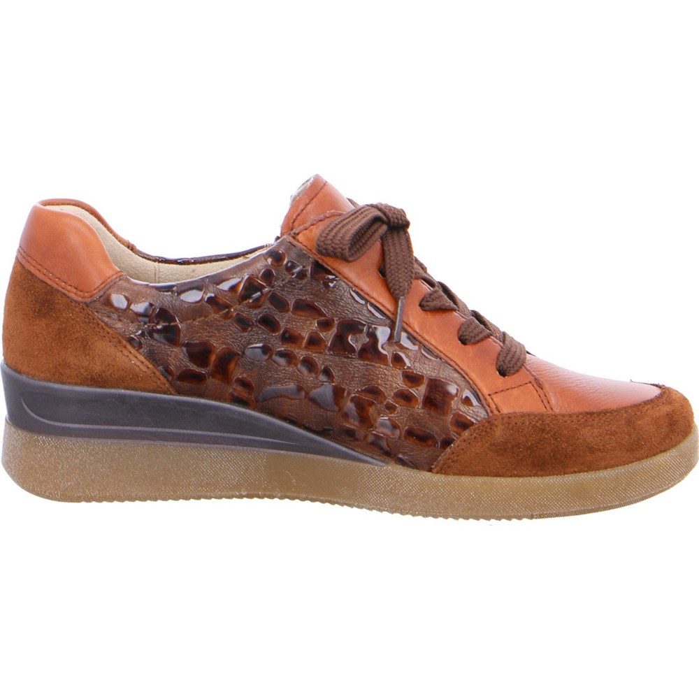 Baskets ARA Lazio Marron Femme | DZU-15167500