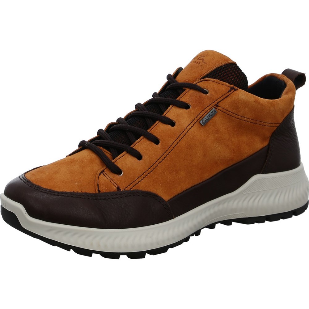 Chaussures Habillées ARA Hiker ambra Marron Femme | YIH-42076889