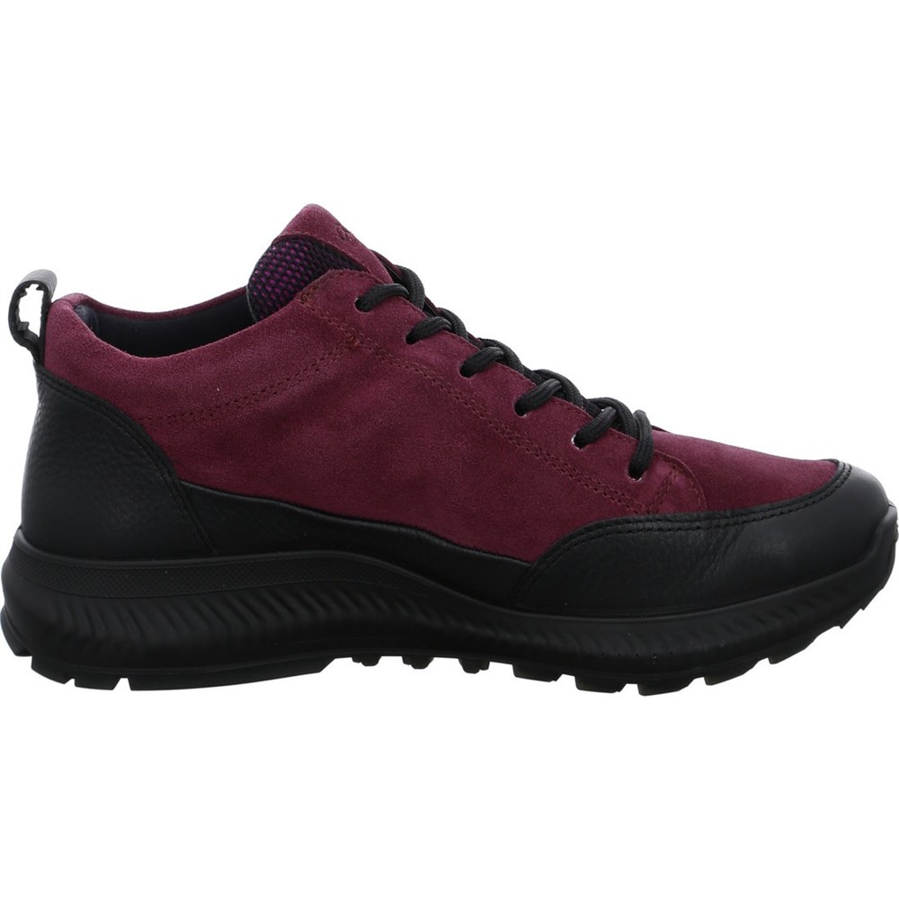 Chaussures Habillées ARA Hiker berry Rouge Femme | WMO-65985427