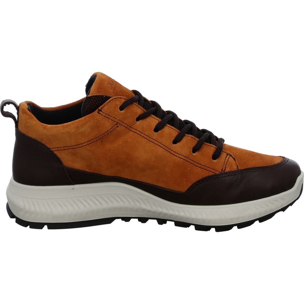 Chaussures Habillées ARA Hiker ambra Marron Femme | YIH-42076889