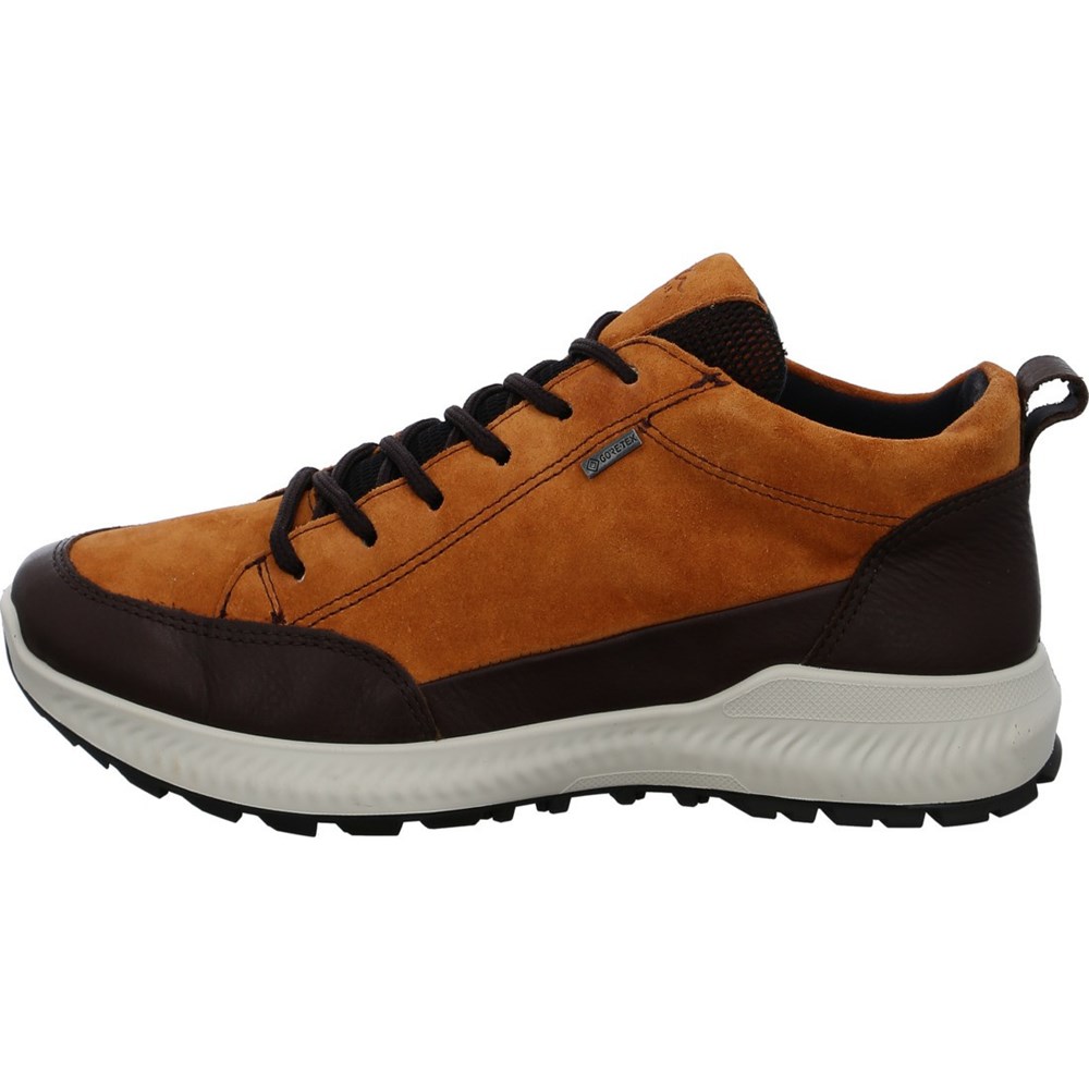 Chaussures Habillées ARA Hiker ambra Marron Femme | YIH-42076889