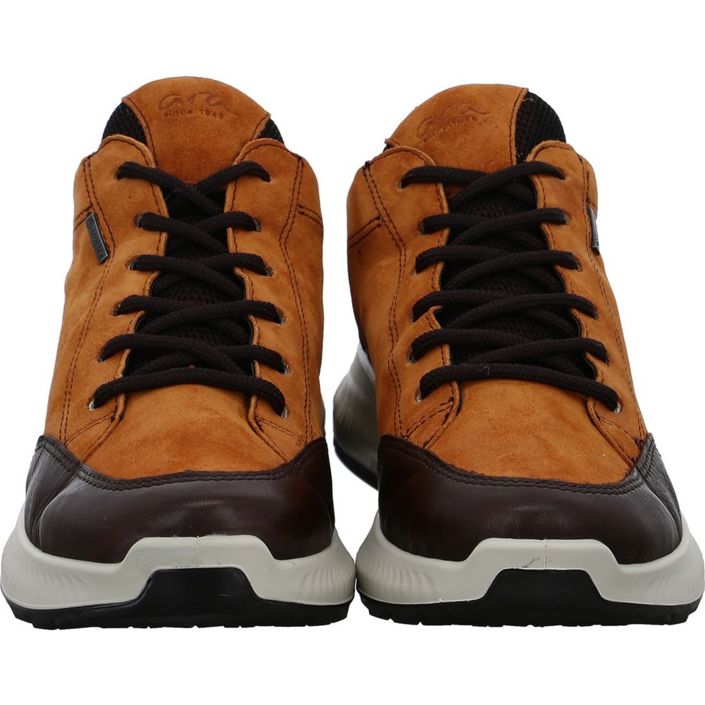 Chaussures Habillées ARA Hiker ambra Marron Femme | YIH-42076889