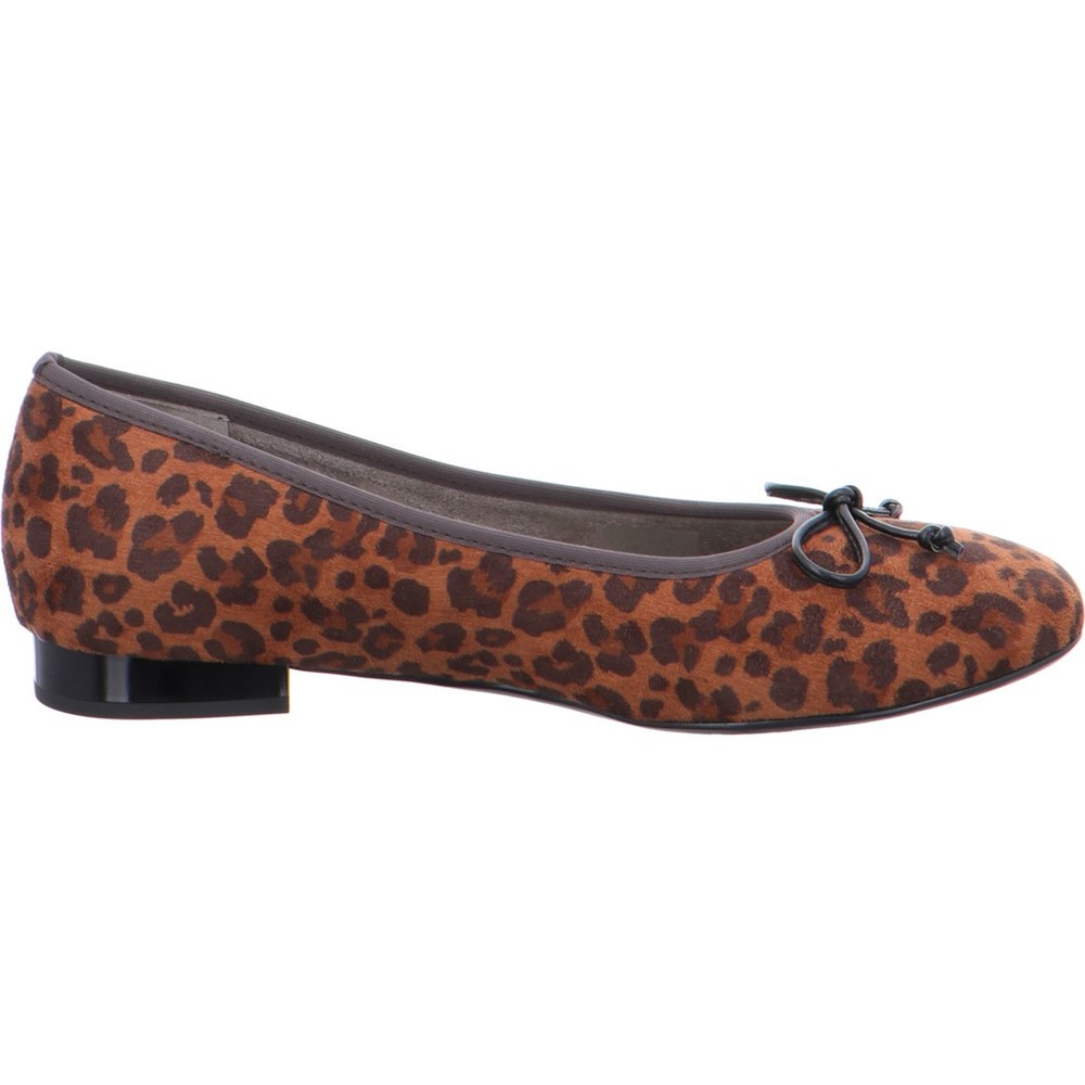 Ballerine ARA Pisa Marron Femme | EBY-95577300