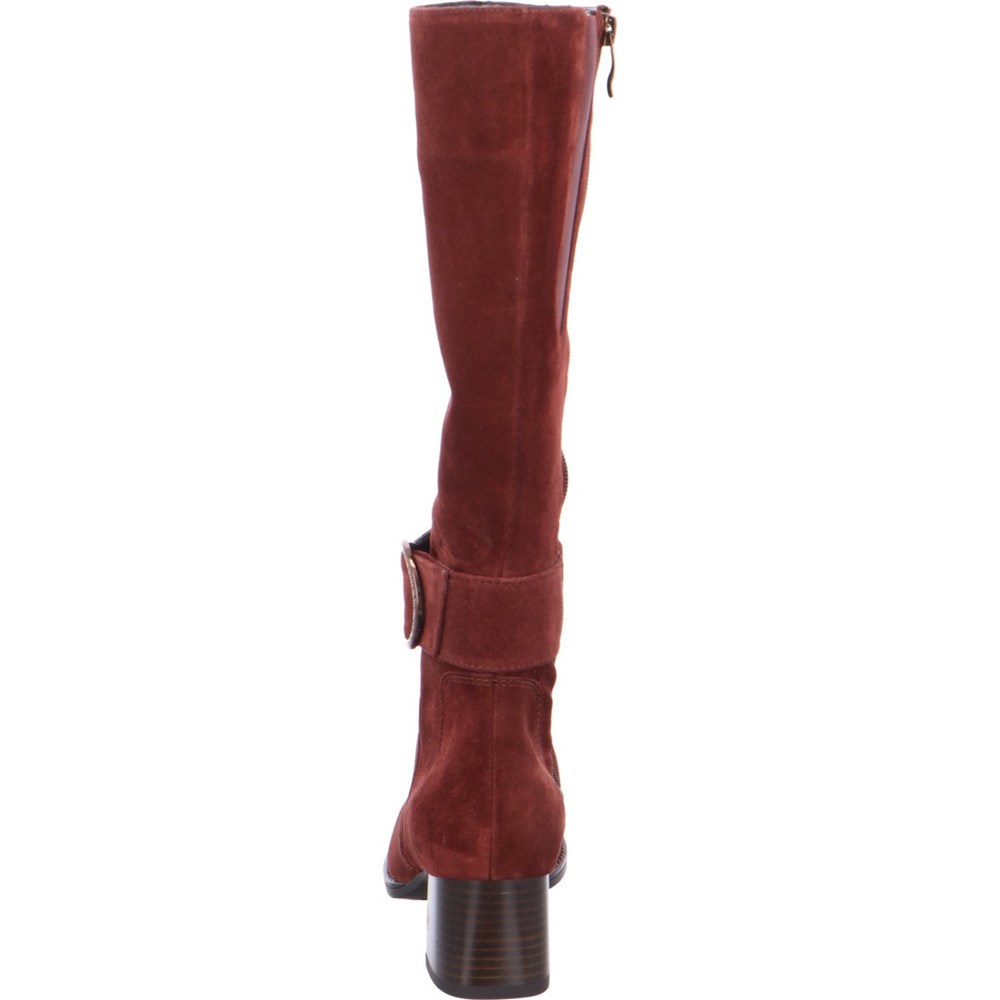 Bottes ARA long boots Versailles Marron Femme | GOK-88916703