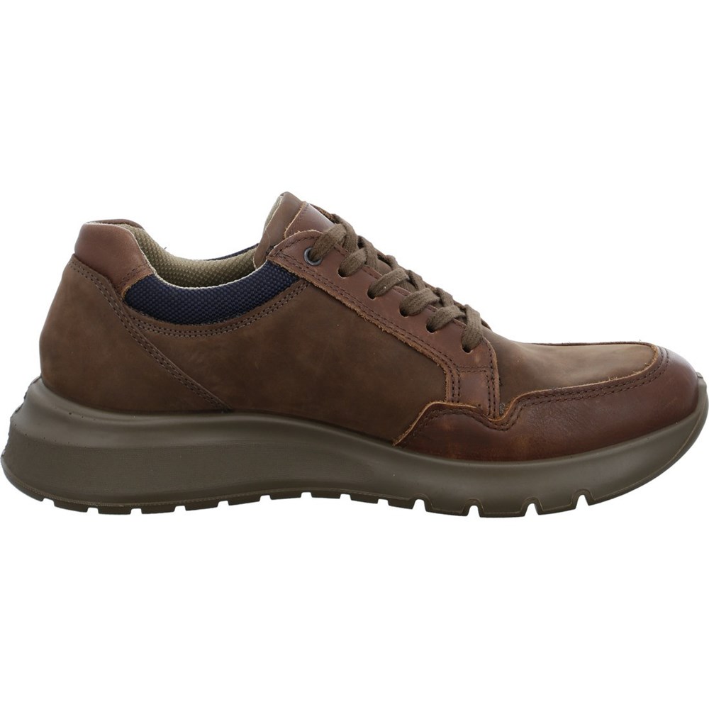 Baskets ARA Arizona moro Marron Homme | LZS-19404857