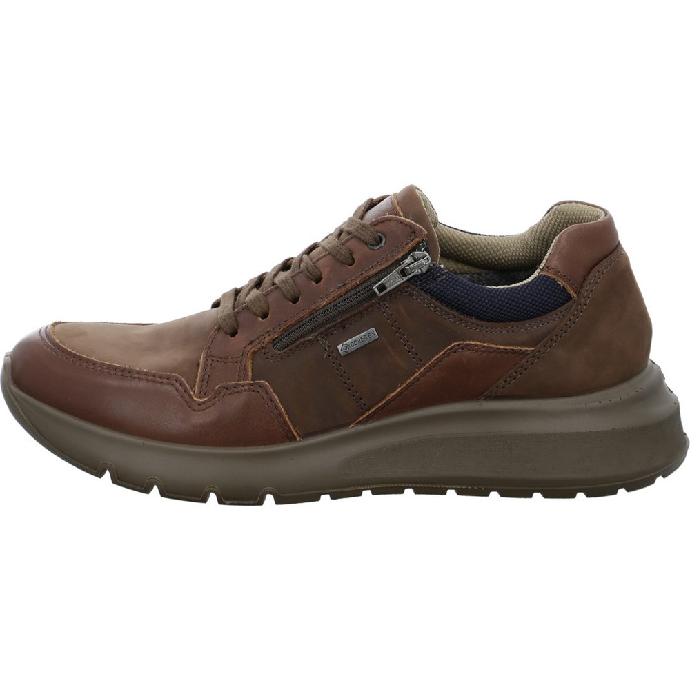 Baskets ARA Arizona moro Marron Homme | LZS-19404857