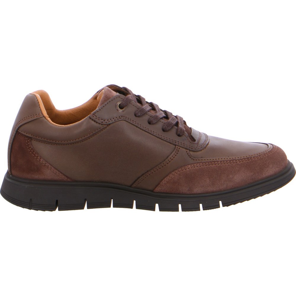 Chaussures Habillées ARA Morton Marron Homme | EAL-03058720