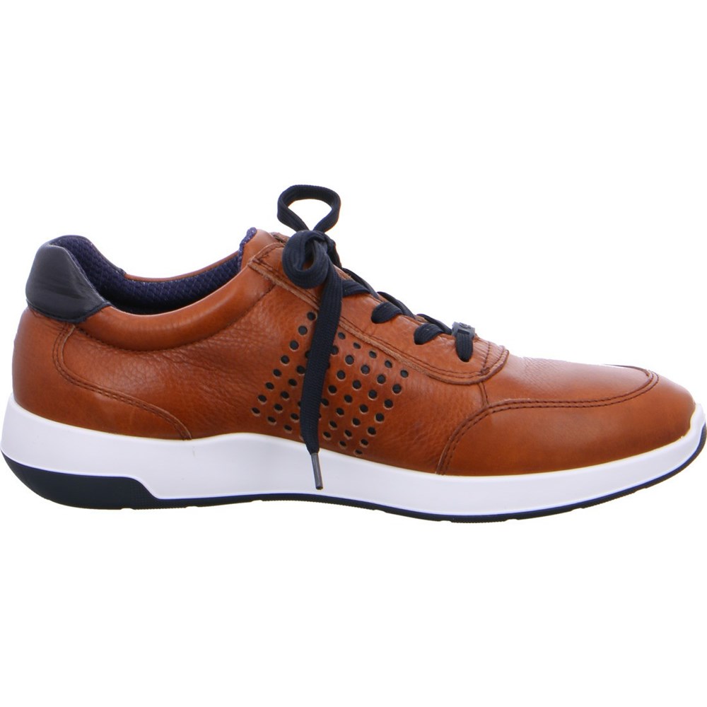 Chaussures Habillées ARA Patrick Marron Homme | ODY-07931096