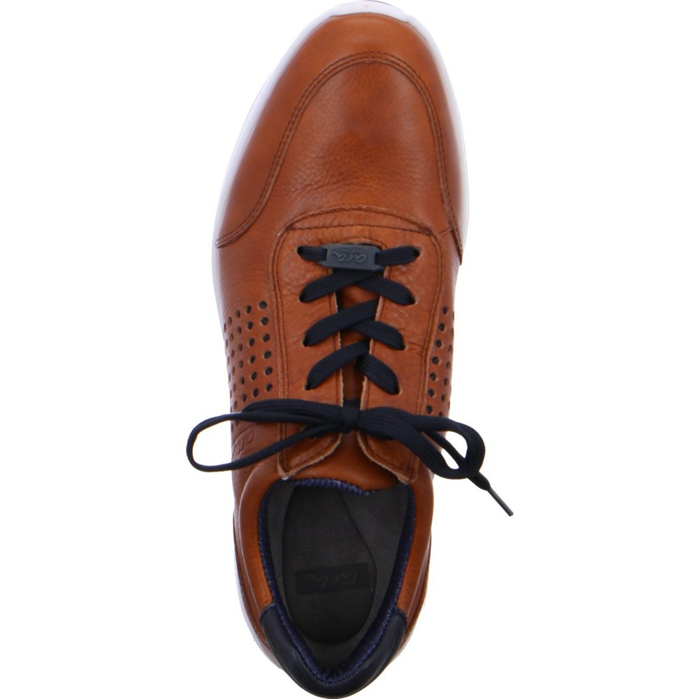 Chaussures Habillées ARA Patrick Marron Homme | ODY-07931096