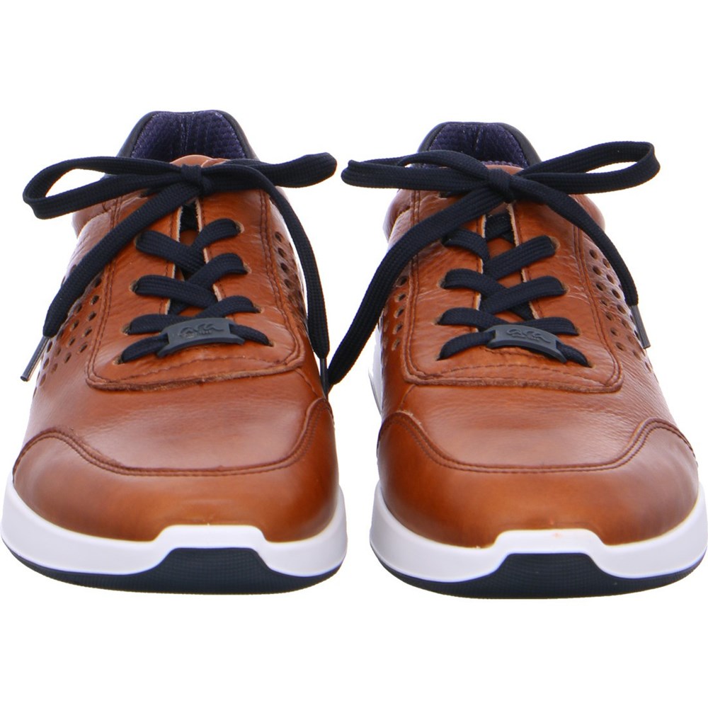 Chaussures Habillées ARA Patrick Marron Homme | ODY-07931096