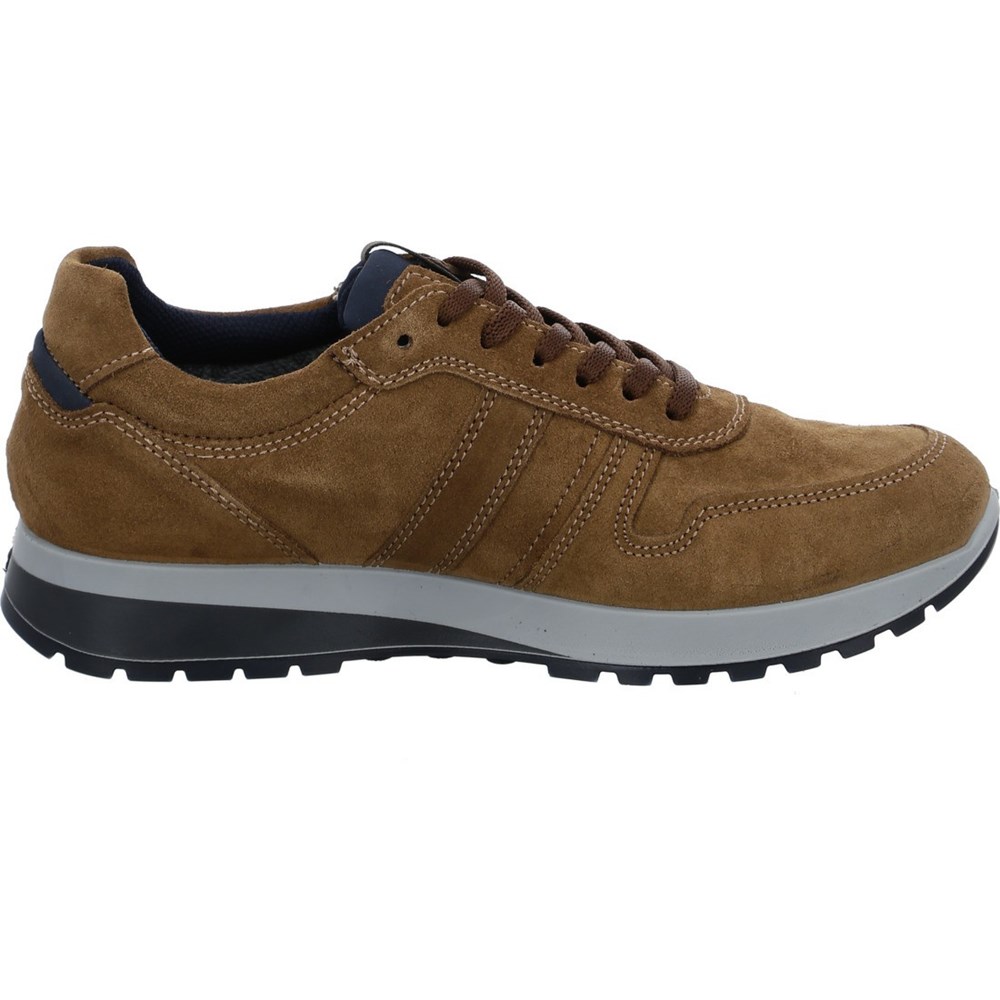 Chaussures Habillées ARA Matteo cuoio Marron Homme | GJL-07154688