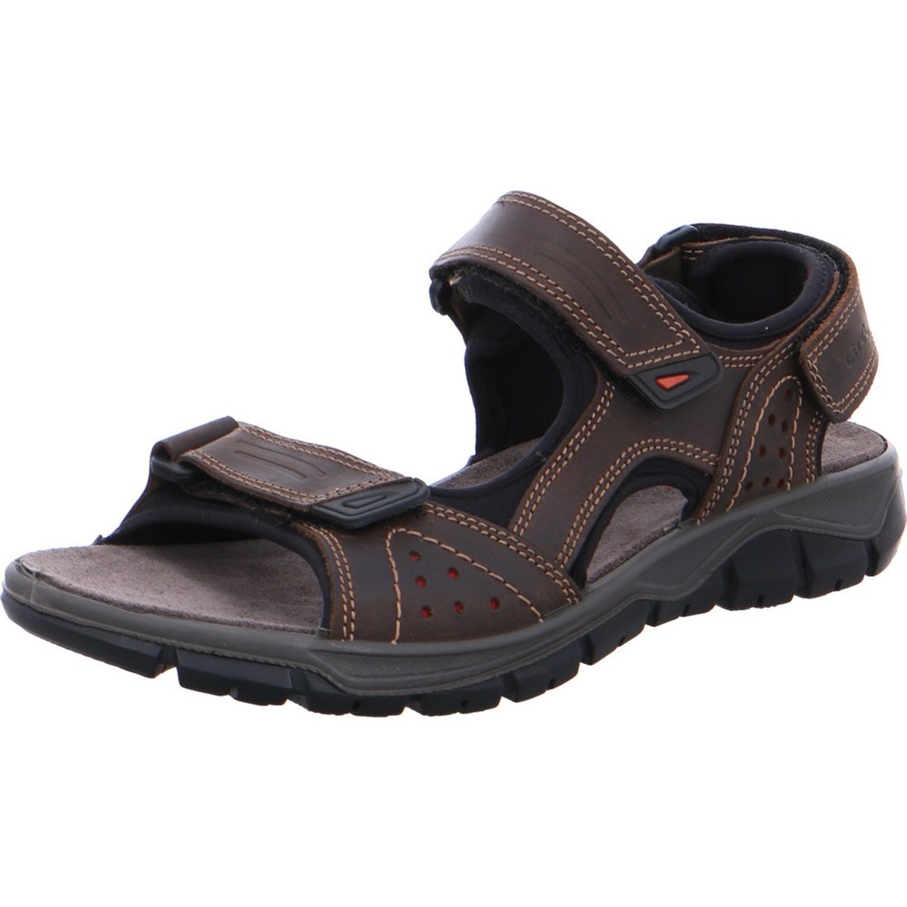 Sandales ARA Lucca moro Marron Homme | JWF-61066923