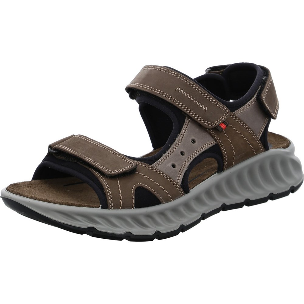 Sandales ARA Elias moro Marron Homme | CCC-69531374