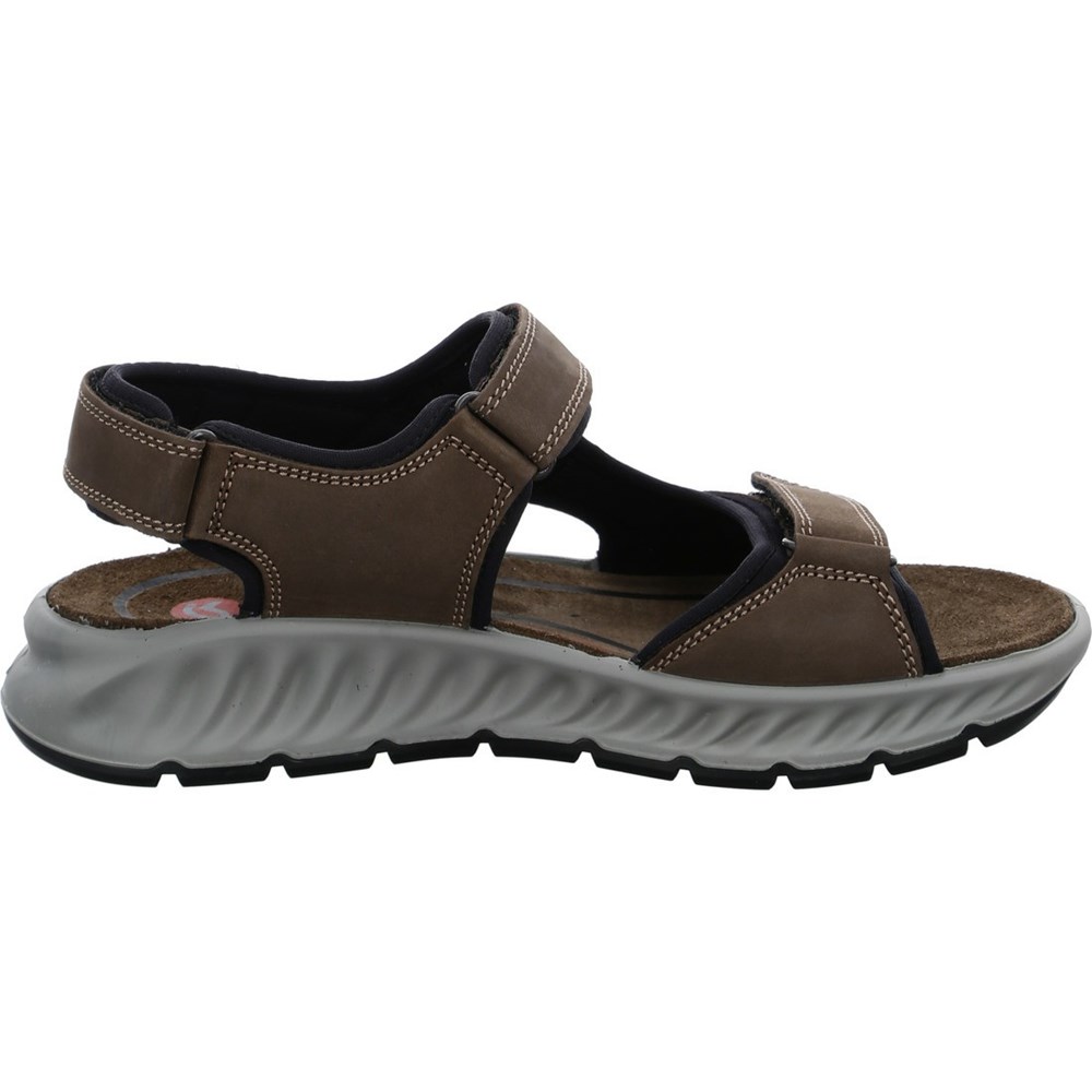 Sandales ARA Elias moro Marron Homme | CCC-69531374