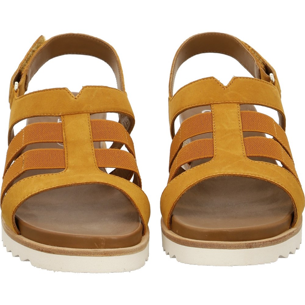 Sandales ARA Valencia ochre Marron Femme | TFE-92473863