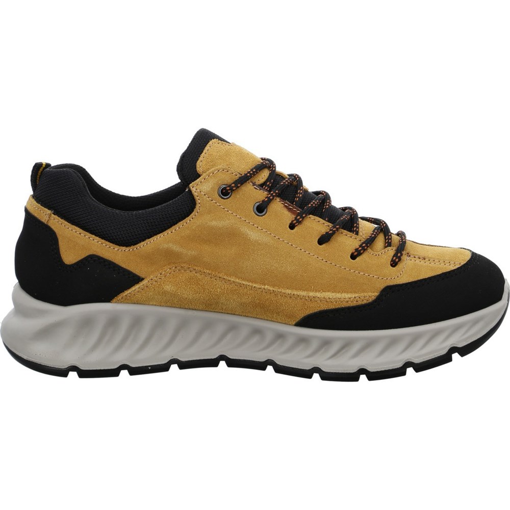 Chaussures Habillées ARA Paolo ochre Jaune Homme | OPM-80640798